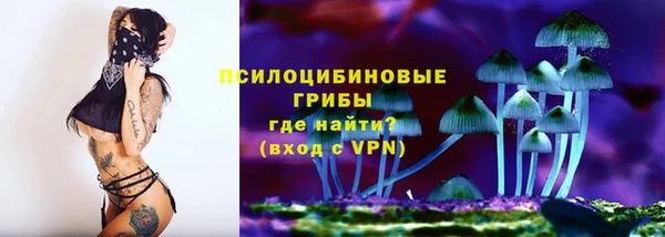винт Арсеньев