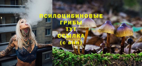винт Арсеньев